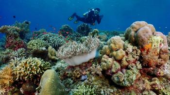 FOTO: Tim Dive Trip Adakan Perjalanan Tak Terlupakan di Labuhan Bajo, Meumere